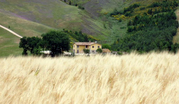 Panorama dell'agriturismo Le Sodere