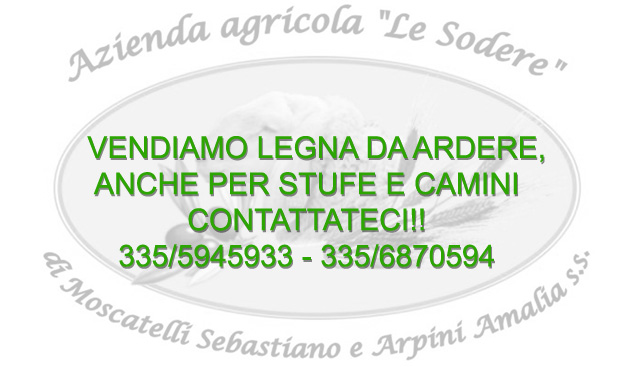 Legna da ardere